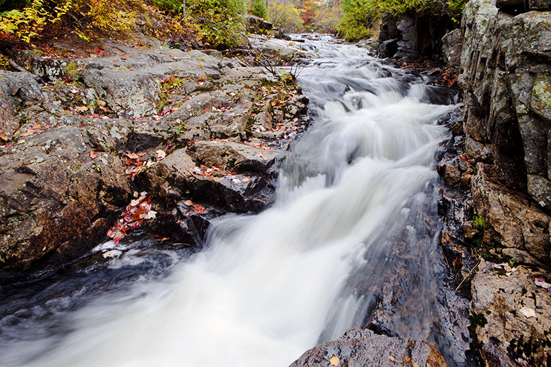 Small Stream in Acadia (Maine)